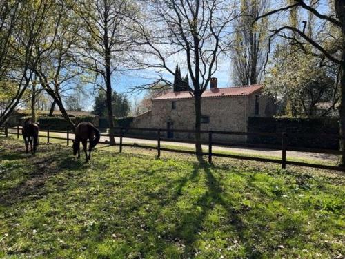 Gîte Mauves-sur-Loire, 3 pièces, 5 personnes - FR-1-306-1238