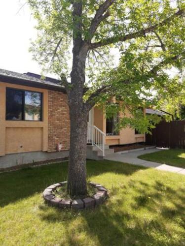 Cozy home with comfortable beds and fully equipped kitchen 15 mins drive from airport, downtown, SAIT and U of C and 80 min drive to Banff
