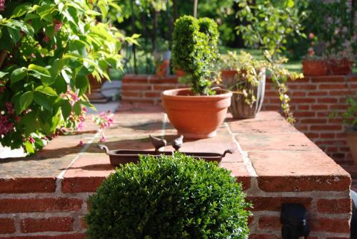 Double Room with Garden View