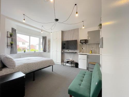 Cosy Bright Studio Apartment Close to Wembley Stadium 1