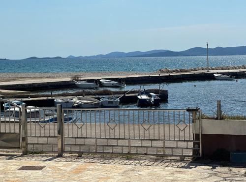 Seagull by the sea, Sukošan (zdjęcie 6)