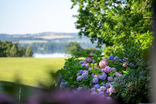 Skanderborg Park - image 13