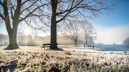 Skanderborg Park - image 6