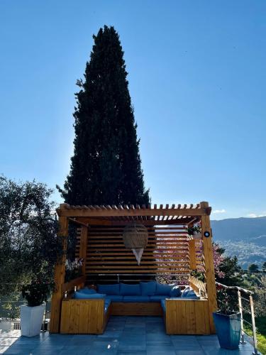 Escondida, Nice (photo 10)