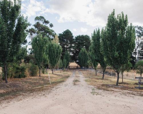 The Acres of Tooborac Homestead