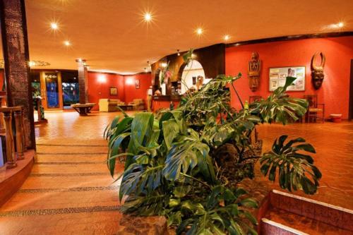 恩戈罗恩戈罗索帕图片