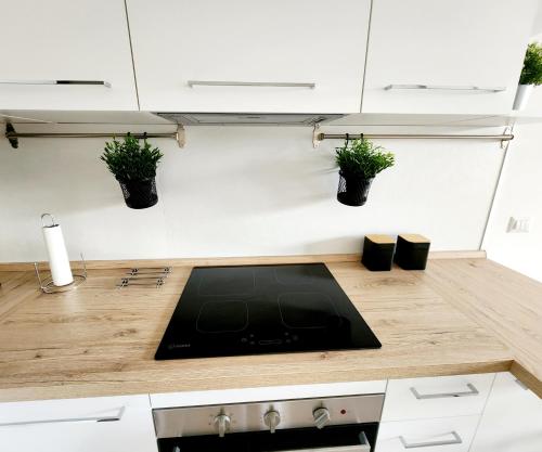 Quela Apartment - Pietralata, Rome (photo 4)