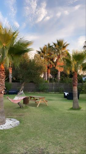 Hotel La Torre - image 9