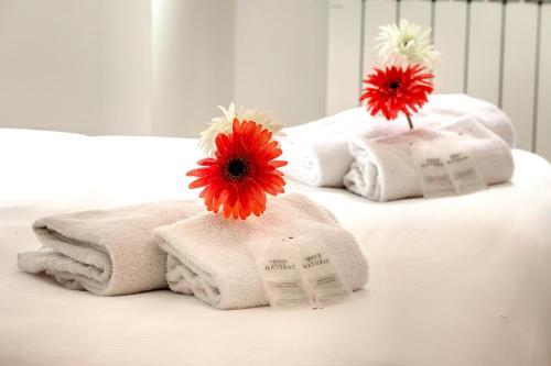 Two-Bedroom Apartment image 1