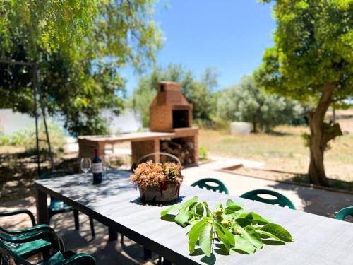 Unik Vacation La Noguera Rural Valls