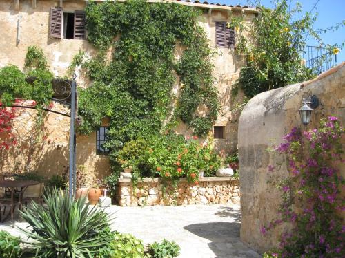 Buitenkant, Finca Sa Cova Vella in Petra