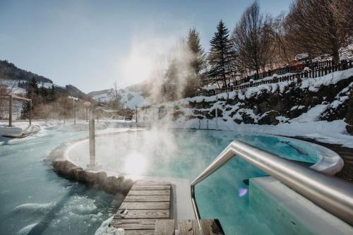 Gartenhotel Theresia - image 10