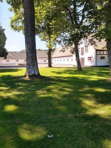 Apartment in Danmark- Agernaesgaard Otterup, Otterup (foto 6)