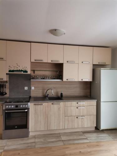 virtuve, Apartmán Family s výhľadom na Choč (Apartman Family s vyhladom na Choc) in Lucki