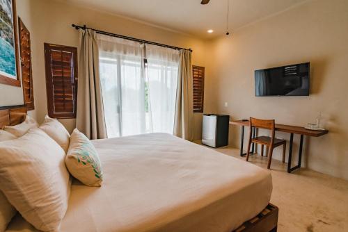 449678714 Blue Palm Bacalar
