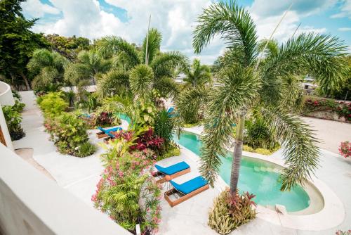 449678782 Blue Palm Bacalar