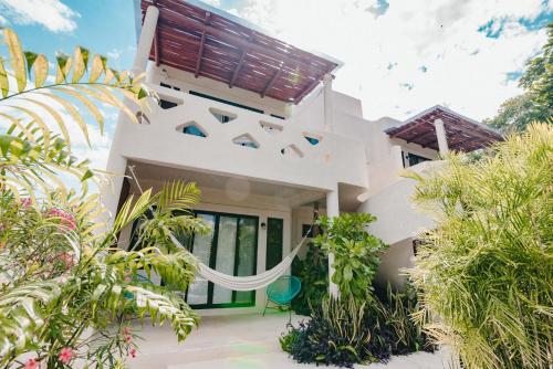 449679279 Blue Palm Bacalar
