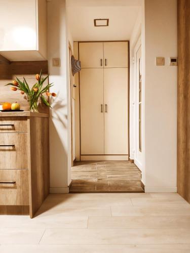 F27 Ferenc Apartment 5