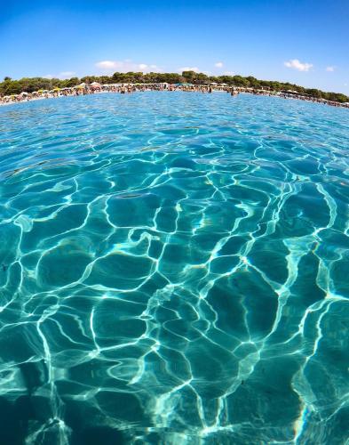 Fronte Mare Al Porticciolo