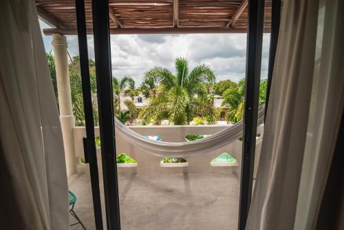 449685685 Blue Palm Bacalar