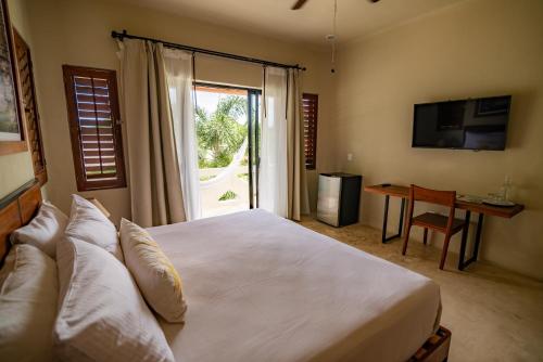 449691177 Blue Palm Bacalar
