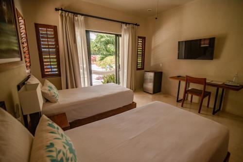 449693747 Blue Palm Bacalar