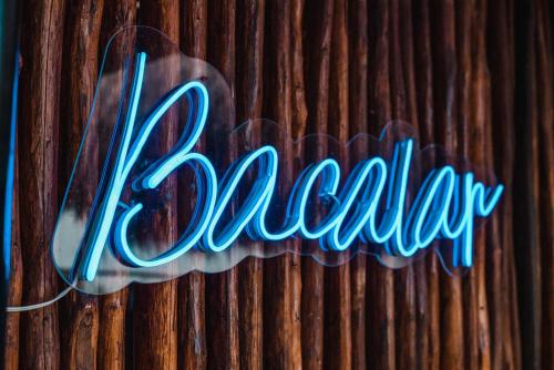 449705241 Blue Palm Bacalar