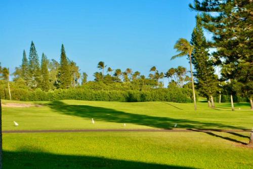 Beach Glam at Turtle Bay on the golf course