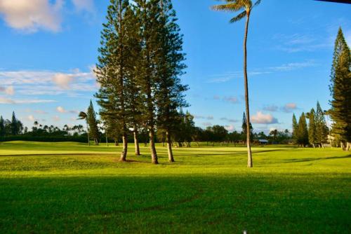 Beach Glam at Turtle Bay on the golf course