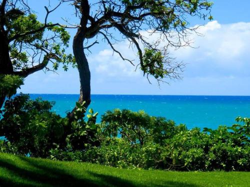 Beach Glam at Turtle Bay on the golf course