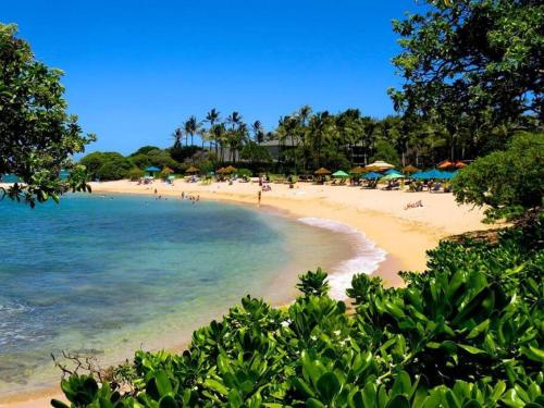 Beach Glam at Turtle Bay on the golf course