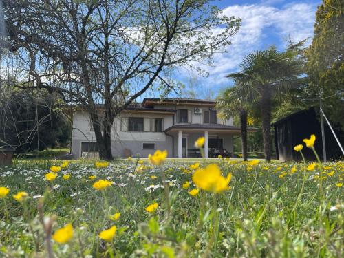 B&B Da Leone chambre d'hôte Paradiso