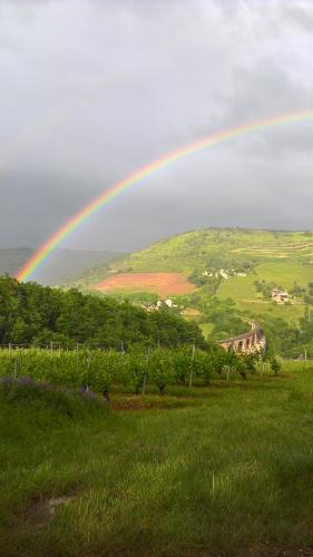 grange rénovée en pleine nature