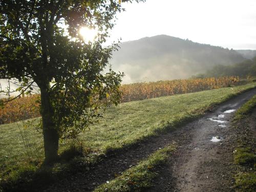 grange rénovée en pleine nature