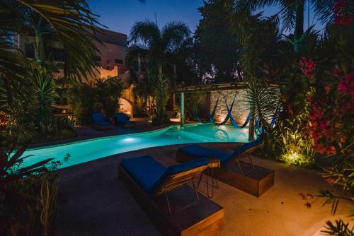 449734767 Blue Palm Bacalar