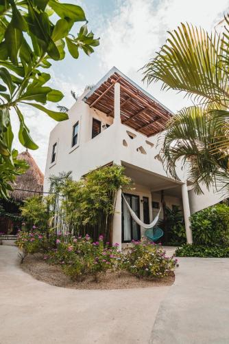 449735437 Blue Palm Bacalar