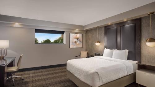 Guest room, 1 King, Corner room