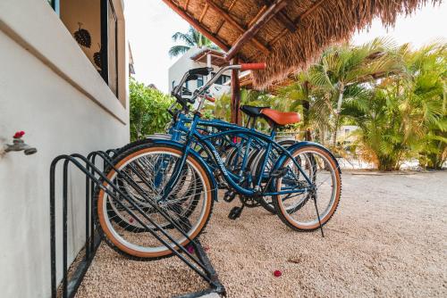449743700 Blue Palm Bacalar