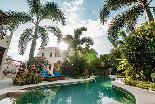 449743763 Blue Palm Bacalar