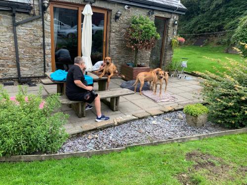 Beudy Bach - image 11