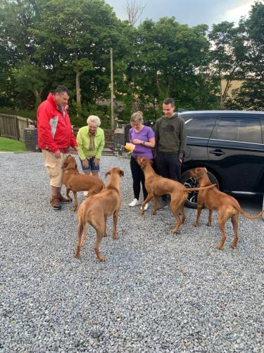 Beudy Bach - image 7