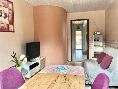 Logement classé 4 étoiles avec SAUNA et vue sur le Canigou