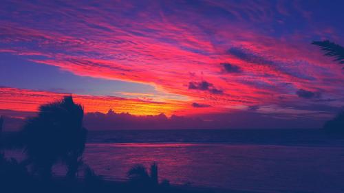 Cook Islands Holiday Villas - Blue Lagoon 1 Bdr