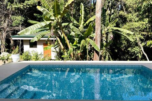 Surrounding environment, An abundance of wildlife at Jungle Glory Home Abajo in Quepos
