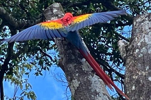 An abundance of wildlife at Jungle Glory Home