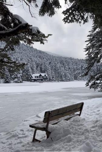 BOLU da ormanin tam kalbinde İsveç mimari göl manz