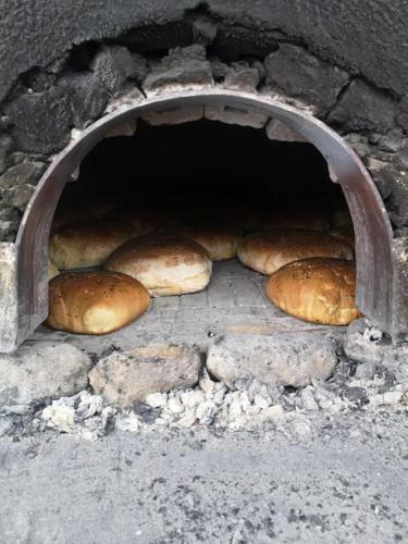 BOLU da ormanin tam kalbinde İsveç mimari göl manz