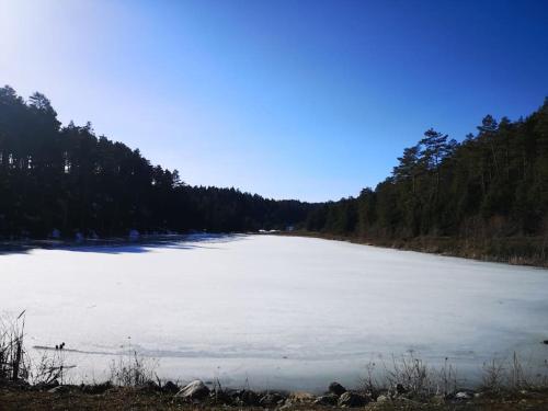 BOLU da ormanin tam kalbinde İsveç mimari göl manz