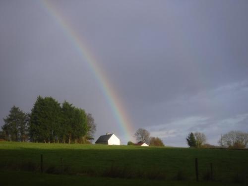 Relax in the unique and cosy Off-grid Eco Shepherd's hut Between Heaven and Earth