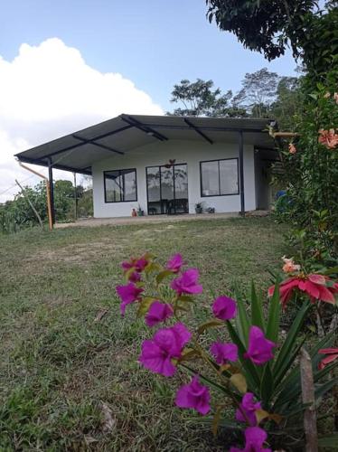 3 bedrooms, 7 beds